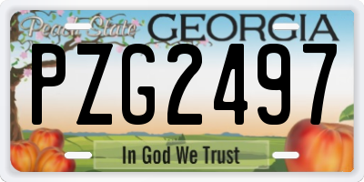 GA license plate PZG2497