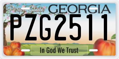 GA license plate PZG2511