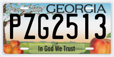 GA license plate PZG2513