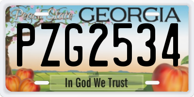GA license plate PZG2534