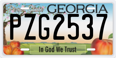 GA license plate PZG2537