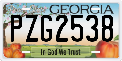 GA license plate PZG2538