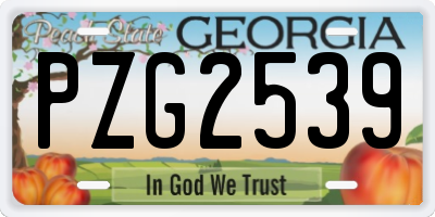 GA license plate PZG2539