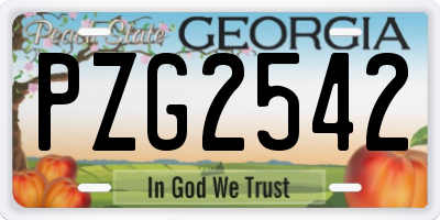 GA license plate PZG2542