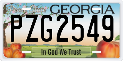 GA license plate PZG2549