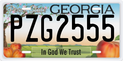 GA license plate PZG2555
