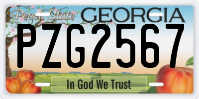 GA license plate PZG2567