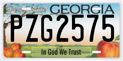 GA license plate PZG2575