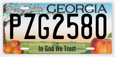 GA license plate PZG2580