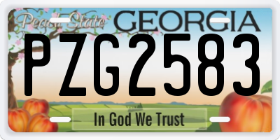 GA license plate PZG2583