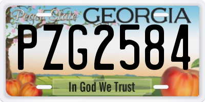 GA license plate PZG2584