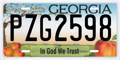 GA license plate PZG2598