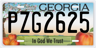 GA license plate PZG2625