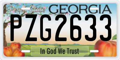 GA license plate PZG2633