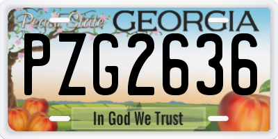 GA license plate PZG2636