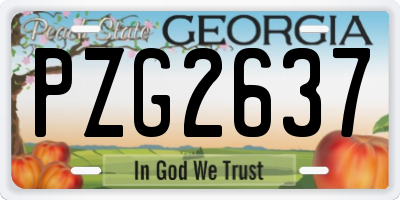 GA license plate PZG2637