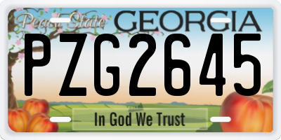GA license plate PZG2645