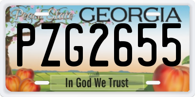 GA license plate PZG2655