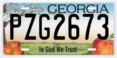 GA license plate PZG2673