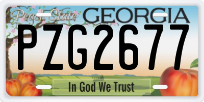GA license plate PZG2677