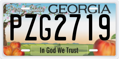 GA license plate PZG2719
