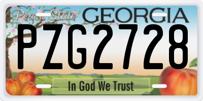 GA license plate PZG2728