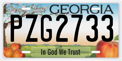 GA license plate PZG2733