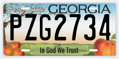 GA license plate PZG2734