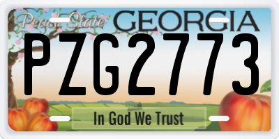 GA license plate PZG2773