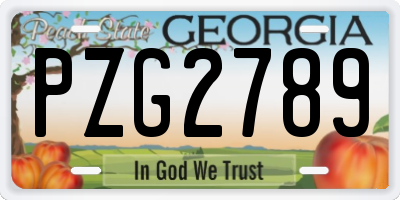 GA license plate PZG2789