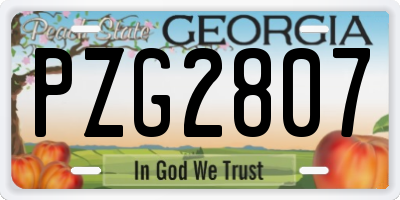 GA license plate PZG2807