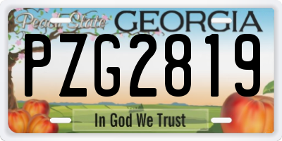 GA license plate PZG2819