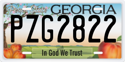 GA license plate PZG2822