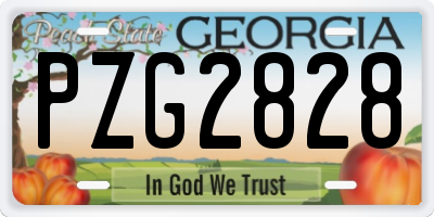 GA license plate PZG2828