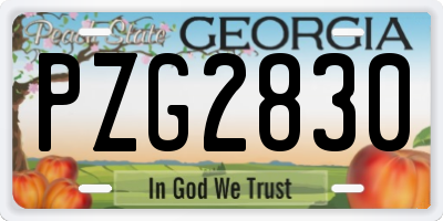 GA license plate PZG2830