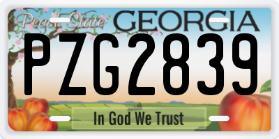 GA license plate PZG2839