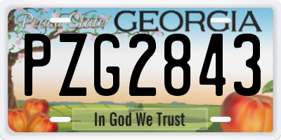 GA license plate PZG2843