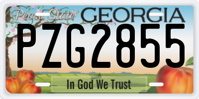 GA license plate PZG2855