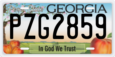 GA license plate PZG2859