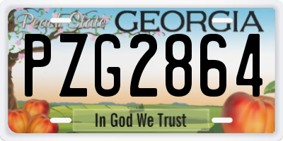 GA license plate PZG2864