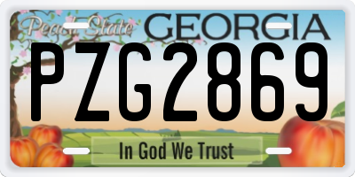 GA license plate PZG2869