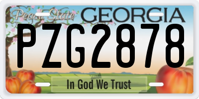 GA license plate PZG2878