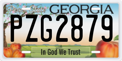 GA license plate PZG2879