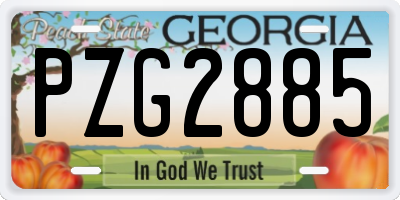 GA license plate PZG2885