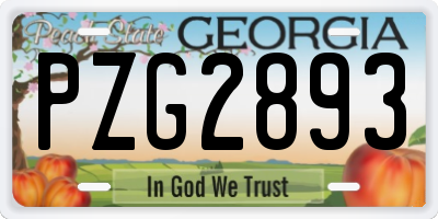 GA license plate PZG2893