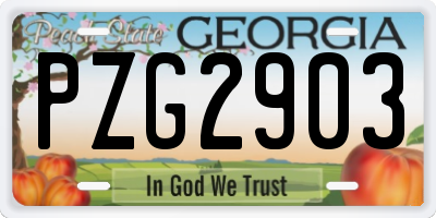 GA license plate PZG2903
