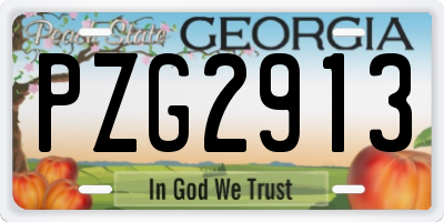 GA license plate PZG2913
