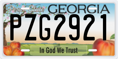 GA license plate PZG2921