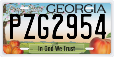 GA license plate PZG2954