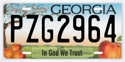 GA license plate PZG2964